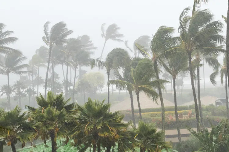 Wind Mitigation Inspection